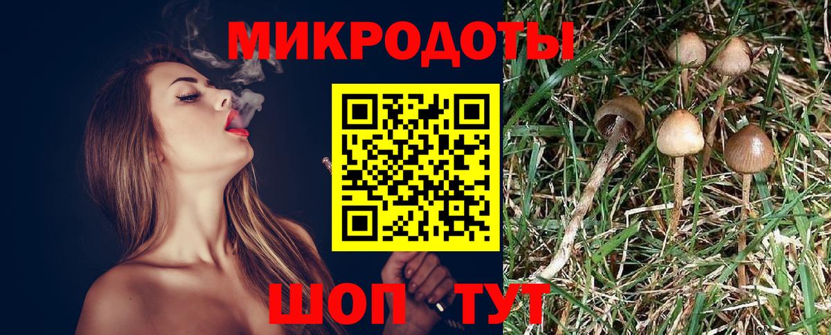 Псилоцибиновые грибы GOLDEN TEACHER Нововоронеж