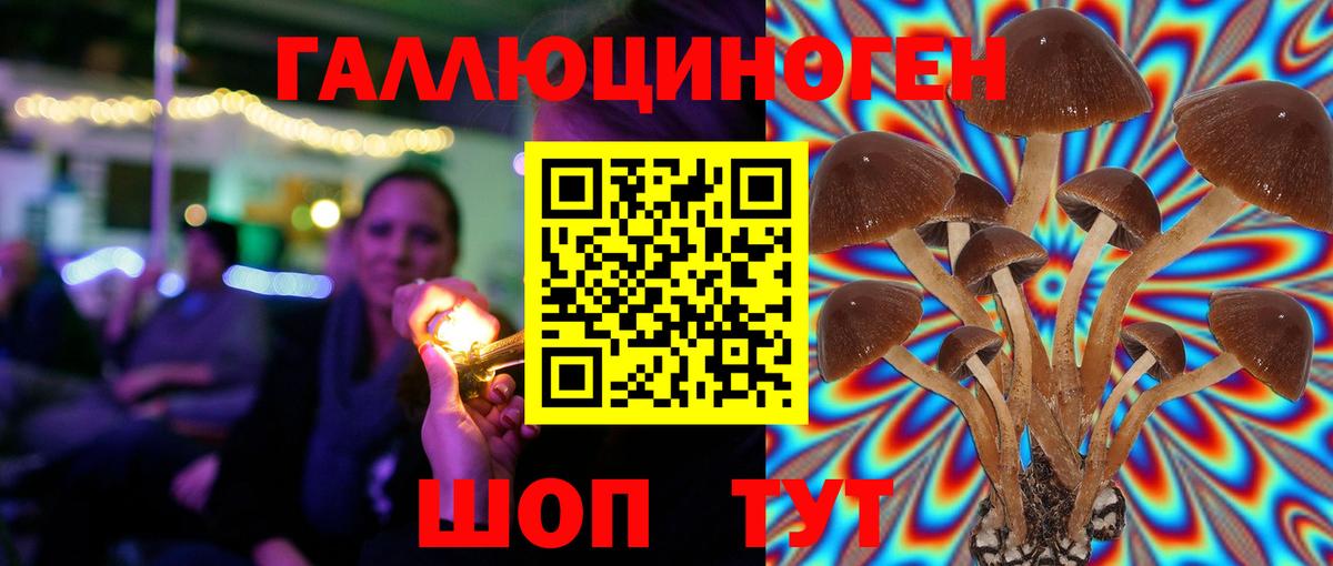 Нововоронеж  Галлюциногенные грибы Magic Shrooms  Вход с VPN 